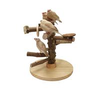 Support de dressage pour oiseaux, plate-forme de support, plateau de table portable - Broche - Perche d'entraînement pour perruches, tourtereaux ou cockatiels - Offrez à votre oiseau de compagnie une