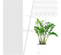 Support de en Acrylique Transparent pour en Pot avec Clips à Crochet | Piquets en Acrylique pour la stabilité des