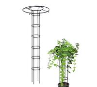 Support de Fleurs de Vigne extérieur,Parapluie obélisque Jardin Escalade Plante Support,Facile à démonter,Balcon,légumes,Aide à l'escalade,Arche Plante grimpante,Roses(180cm/70.9in)