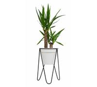 Support de fleurs, parterre de fleurs moderne en métal, grenier, noir 45 cm