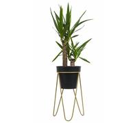 Support de fleurs, parterre de fleurs moderne en métal, grenier, or 45 cm