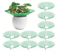 Support de fraises pour une gestion efficace des plantes et une efficacité spatiale