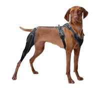 Support de hanche pour chien - Housse de support stabilisateur en métal - Manchons de harnais - Genouillère - Aide à la récupération de l'articulation arrière de la jambe - Pour soigner les blessures