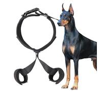 Support de hanche pour chiens - Harnais de levage pour animaux de compagnie pour problèmes de mobilité | Aide à la correction des hanches respirante et confortable | Ceinture d'assistance réglable