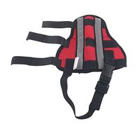 Support de jambe arrière pour chien, Genouillères confortables pour guérir la douleur, avec bande réfléchissante, idéale pour la prévention des blessures et la récupération (XS)