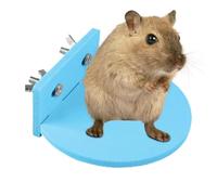 Support de jeu pour hamster | Terrasse de repos antidérapante pour petits animaux | Structure d'activités pour animaux de compagnie grimpant debout, économie d'espace, accessoires pour cage d'écureuil