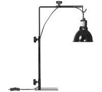 PawHut Support de lampe chauffante pour reptiles, hauteur et largeur réglables, lampe chauffante pour amphibiens, lézards, tortues, geckos, base en acier, 32 x 9 x 67 cm, noir