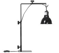 Support de lampe chauffante pour reptiles - PawHut - hauteur et largeur réglables - pour amphibiens, lézards, tortues, geckos -