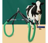 Support de levage de hanche de vache for animaux, pince de hanche réglable for la traite post-partum, Support de Support for bovins boiteux d'accouchement