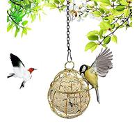 Support de Mangeoire pour Oiseaux en Fer forgé, Petite Boule de Graisse Suspendue, Facile à Remplir/Nettoyer pour Pic, Pinson, Moineau, Léger, doré (Genericn4ovs2z6mc-10286436)