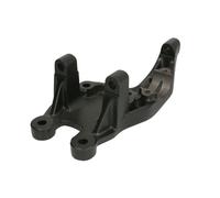 Support de palier, corps de l'essieu S-TR STR-130314