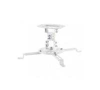 Support de plafond - AISENS - CP03TSR-129 - VESA 320x320 - Acier - Inclinable