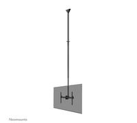 Neomounts Support de plafond CL35-440BL16XL pour écrans 37-70" h250-300 cm