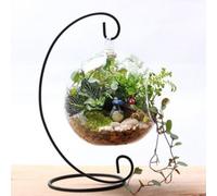 Support De Plante En Fer Noir Blanc 23cm, Pour Vase Suspendu En Verre Transparent, D¿¿Coration De Maison 9109-May14a04280