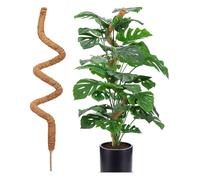 Support de Plante Grimpante 120cm, Tuteur Mousse pour Monstera, Lierre, Plantes d’Intérieur, Flexible et Durable