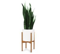 Support de plantes d'angle Fox & Fern Mid Century Modern Plant Holder pour