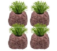 Support de plantes d'aquarium - Pierre volcanique ovale - Support de plantes pour décoration d'aquarium - Pour décoration de paysage d'eau douce et d'eau salée - Piscine - Étang - Aquaristique