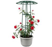 Support de plantes grimpantes en forme de parapluie pour le jardin | Construction de support pour terrasse et cour ; convient pour les clématites, les vignes et les plantes de concombre