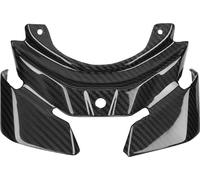 Support de plaque d'immatriculation, couvercle de feu arrière Belle décoration 8.7x6.1in remplacement de processus autoclave pour la moto MT-10 2016-2018