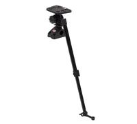 Support de poisson avec bras de transducteur téléscopique Berkley S Noir 29/52 cm