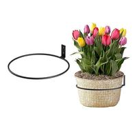 Support De Pot De Fleurs Mural, Porte-Plantes S