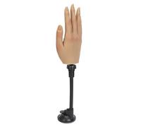 Support de Pratique de Tatouage pour Entraînement au Nail Art, Costume de Manucure, Acupuncture Inclus, Anneau d'affichage, Paire de Mains Prothétiques pour Support, Support