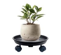 Support de Roulant Avec Plateau d'Égouttage