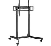 Support de sol motorisé Aisens PRO avec roulettes pour moniteur/téléviseur 120 kg de 55 à 100 - Noir