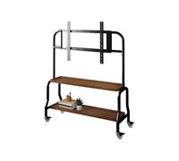 Support De Sol TV en Acier Inoxydable, Chariot Vertical Mobile À roulettes, Meuble TV, Salon Chambre À Coucher, Cintre Universel, Support De Rangement(2 Layer Black A)