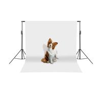 Support de toile de fond réglable - Système de fond multifonction - Structure trépied - Pour fête, événement, mariage, photographie - 3 x 3 m