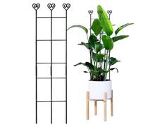 Support d'escalade pour - Poteau réglable en métal - Maglietta Corta Scollo Tondo Taglio Regular,pour Pothos Lierre Philodendron Mariage Balcon Jardin Intérieur