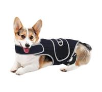 Support dorsal en forme de teckel - Bandage réglable pour stabiliser la colonne vertébrale - Gilet de soutien dorsal pour chien - Convient pour la marche, le jogging, la maison, les voyages en plein