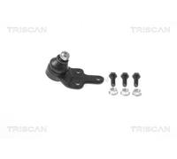 Support Écrou / Guide Extérieur Pour FORD TOURNEO CONNECT / GRAND TOURNEO CONN