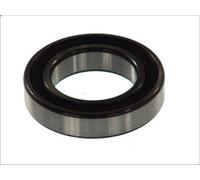 Support FAG 6009-2RSR-C3