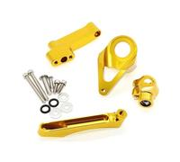 Support Fixation Kit De Support Montage pour Amortisseur Direction Moto pour Suzuki GSX1300R Hayabusa 1300 1998-2019 D'amortisseur(Couleur3)
