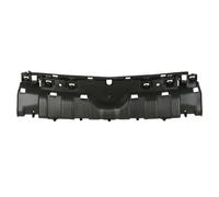 Support, grille de radiateur BLIC 6502-07-2009991P