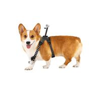 Support Harnais pour Animaux Insta360, Harnais pour Animaux Taille S