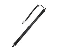 Support Levage Coffre Trappe électrique 6892048061 6891048081 68910-48080 68920-48060 Pour Lexus Pour Rx350L 2017 2018 2019 2020 2021 Jambe Force Hayon Électrique(Left)