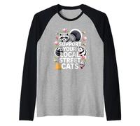 Support Local Street Cats Refuge Protection Des Animaux Amis Manche Raglan