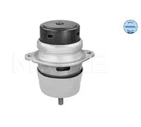 Support moteur côté conducteur + passager av. Support hydraulique 100 199 0215