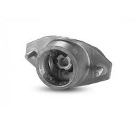 Sasic Support moteur 8431991