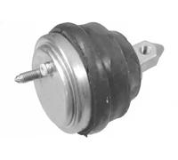 Support moteur droite Support hydraulique 05858 Metalcaucho pour BMW 5 5 Touring