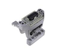 Support Moteur Hydro Pour Skoda Kamiq 19- Seat Arona (KJ) 17-