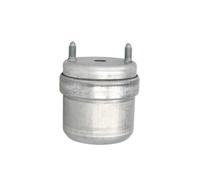 Lemförder Support moteur 17680 02 droite pour Volkswagen Transporter/Multivan T4 1990-2004