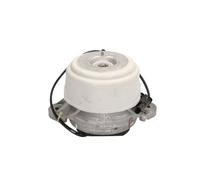 Support moteur LEMFÖRDER 37541 01 droite