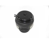 AUTOMEGA 130061110 Support moteur