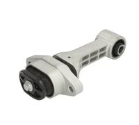 Support moteur TEDGUM 00289244