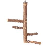 Support multifonction pour perroquet, branches et fourchette pour conure, inséparables, pinsons, plateforme, hamac, jouet debout