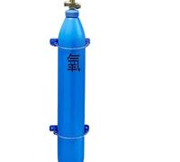 Support mural for bouteilles de gaz for 1 à 10 pièces avec chaîne de sécurité et vis(4pcs)