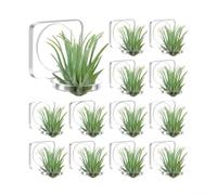 Support Plante Acrylique Transparent 12/24 Pack 4x3cm Montage Fenêtre | Installation perçage Convient succulentes et plantes pour en pot Accent de décoration minimaliste
